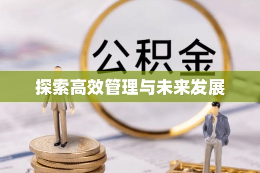 金沙探索高效管理与未来发展