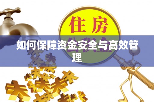 金沙如何保障资金安全与高效管理