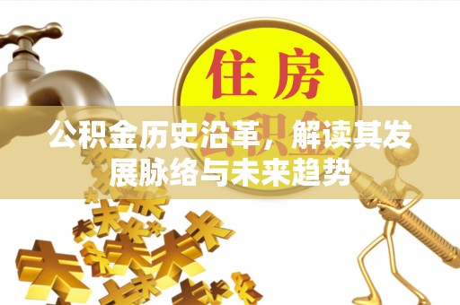 金沙公积金历史沿革，解读其发展脉络与未来趋势