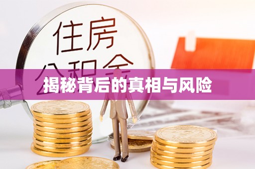 金沙揭秘背后的真相与风险