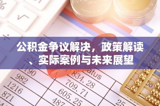 金沙公积金争议解决，政策解读、实际案例与未来展望
