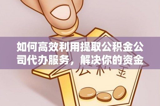 金沙如何高效利用提取公积金公司代办服务，解决你的资金难题