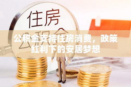 金沙公积金支持住房消费，政策红利下的安居梦想
