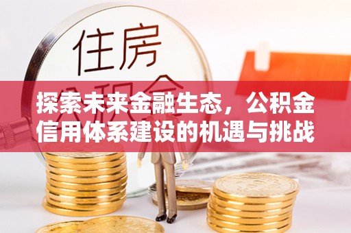 金沙探索未来金融生态，公积金信用体系建设的机遇与挑战